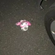 こりの画像