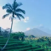 Riecoの画像