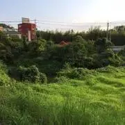 にゃー