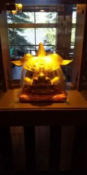ゆうゆうこりん