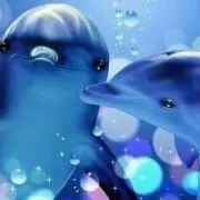 ぶたパンダ☆♪