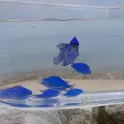 ☆spring-20☆の画像