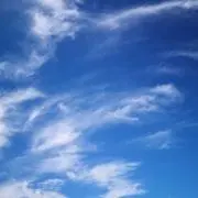 かたぴの画像