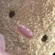 音＊まとめてのご購入歓迎の画像