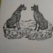 ブロッコリーの画像