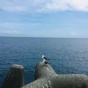 2の画像