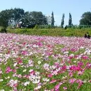 yu-kitaの画像
