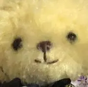 なつの画像