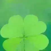 leaf♡˚✧₊の画像