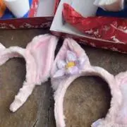 おいしいぷりんの画像