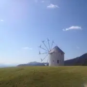 totoの画像