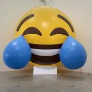 たまごの画像