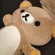 リズの画像