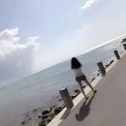 楓