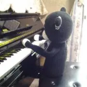 紫音の画像