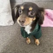 YUU