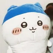 shiiの画像