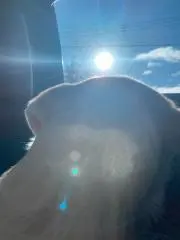 ★即発送★ bsokl お得な割引あり♪