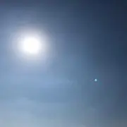 シュークリームの画像