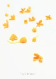 ちよーの画像