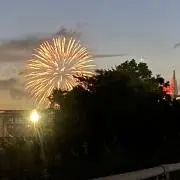 ☆ゴールデンピーターサイトとハイパーシーンのキリッと＆ゴージャスな