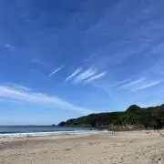 ゆの画像