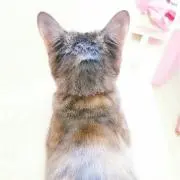 とも