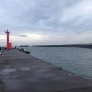 ばりやん