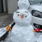 ミミちゃんの画像