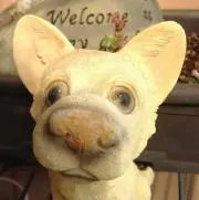keiの画像