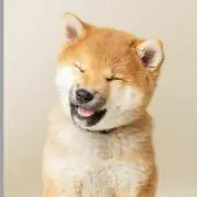 あぁくんの画像