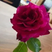 高品質 グリーンガーデンクォーツ♡ファセットカット♡No.2961 - メルカリ