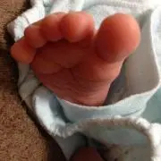 ないうっと