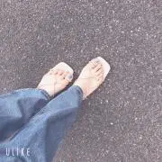 まりも