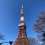 kikiの画像