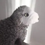 Ayuppiiの画像