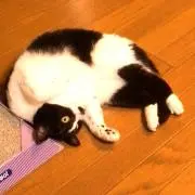 めぐみ