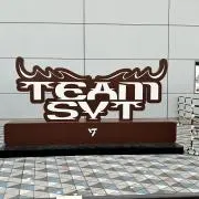 ⭐︎SVT⭐︎の画像