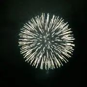 333