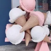ちょこの画像