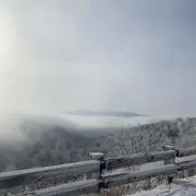 Snow☆の画像