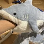 JINの画像