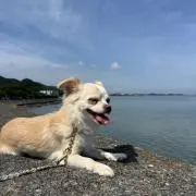rn 双子ママ canakoの画像