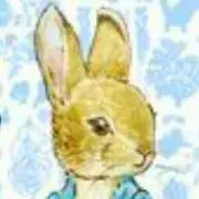 うさぎ