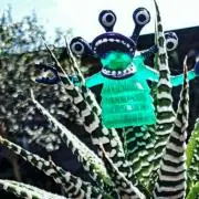 BB