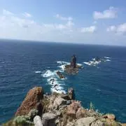 たけの画像