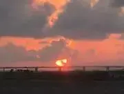 サリー