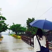 はるの画像