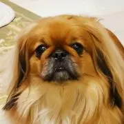 nao