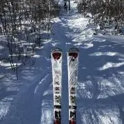 すがすがの画像